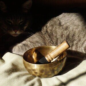 Authentic Brass Singing Bowl (Tiger Pattern) w/ Felt Stand & Journal ✨